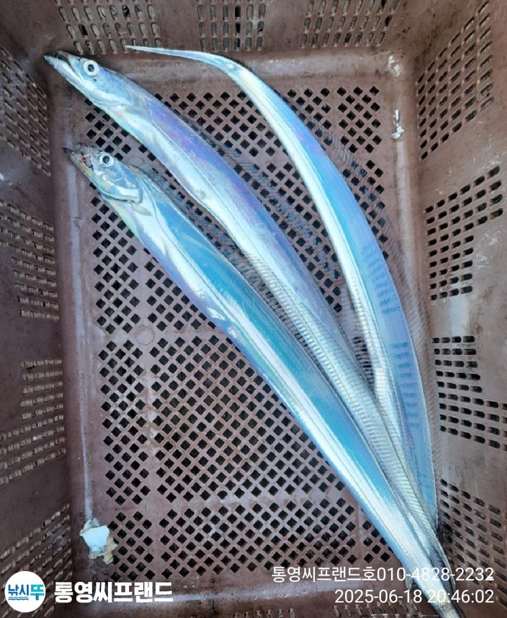 F2703137OK.jpg