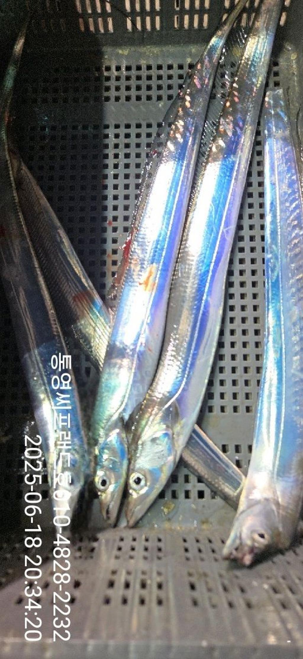 F2703138PF.jpg