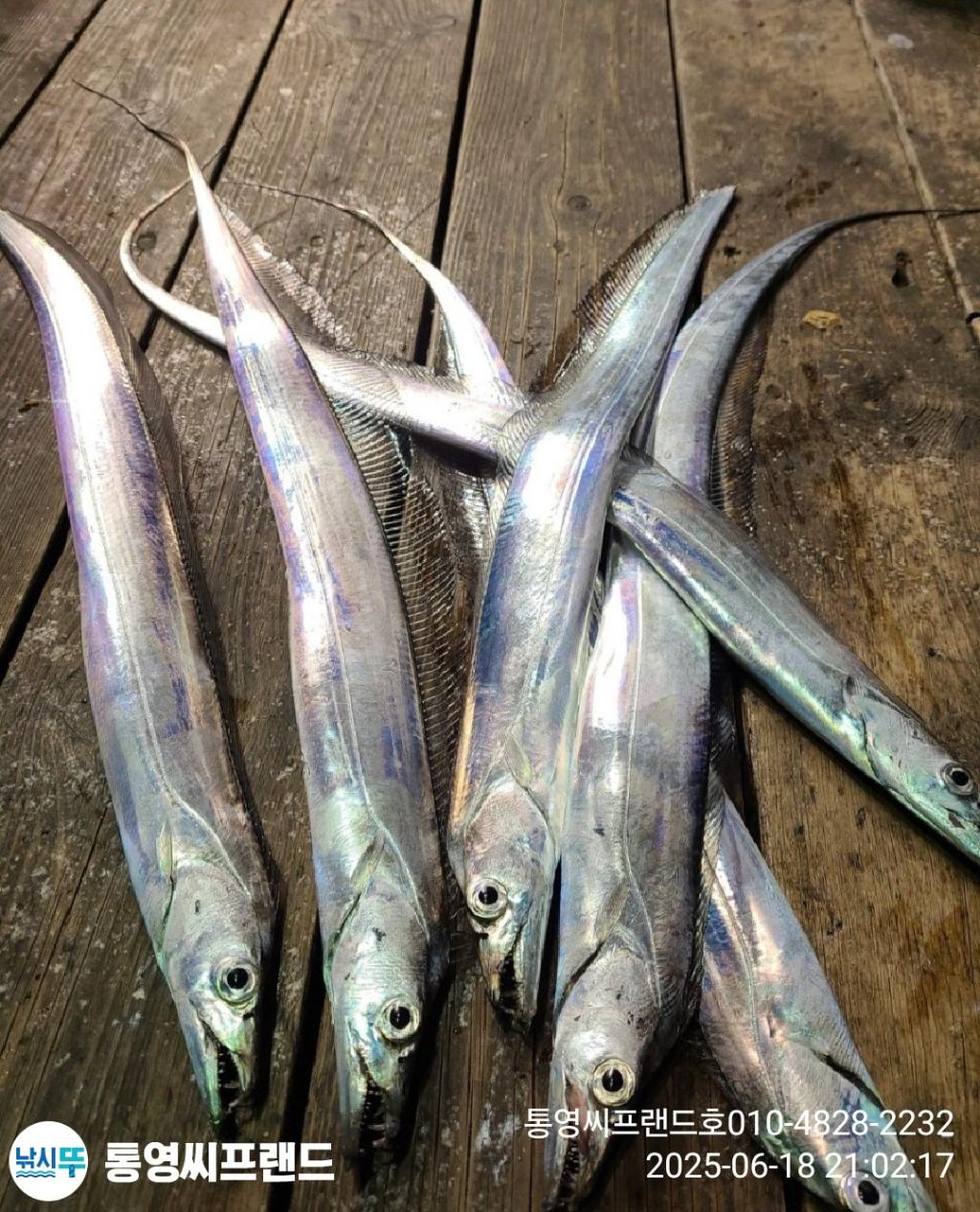 F27031390F.jpg