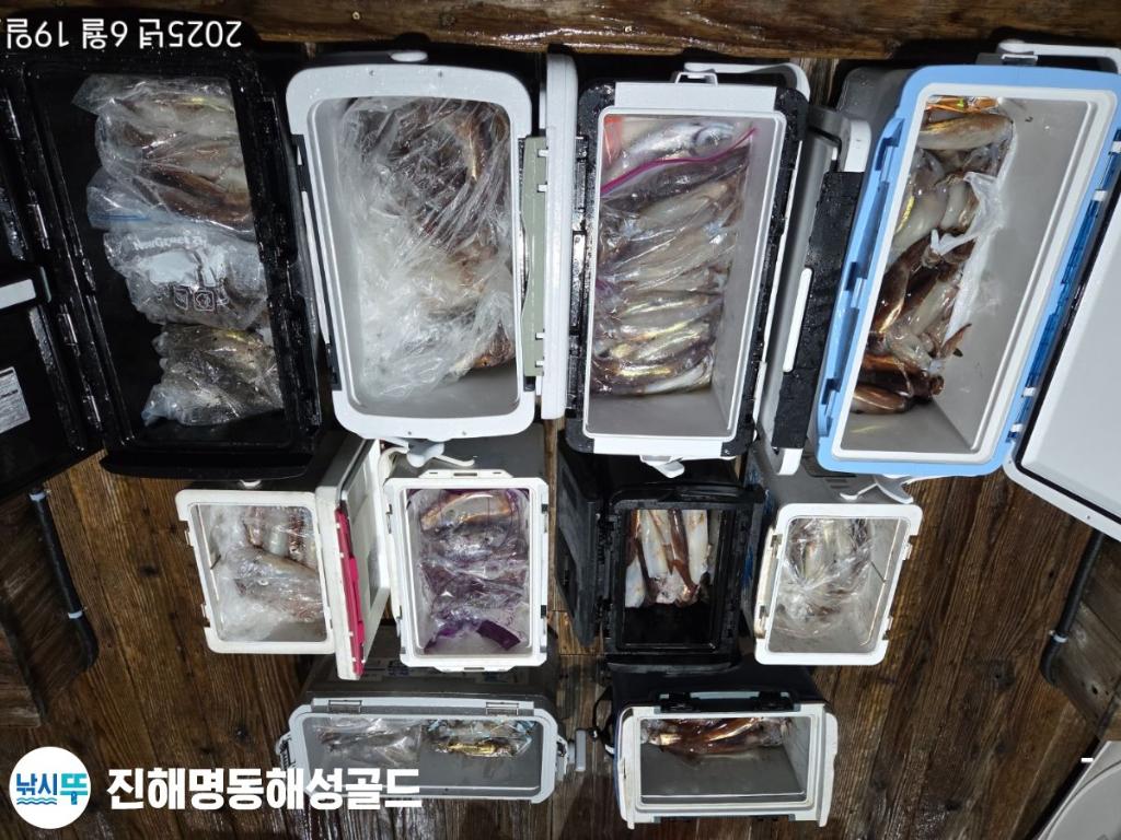 F2703190L1.jpg