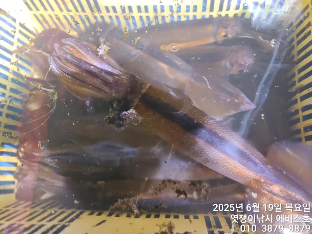 F27033067Z.jpg