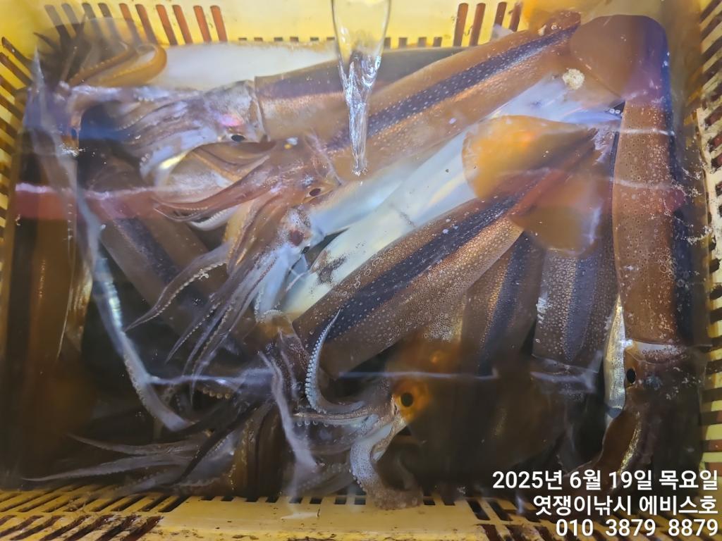 F2703307IC.jpg