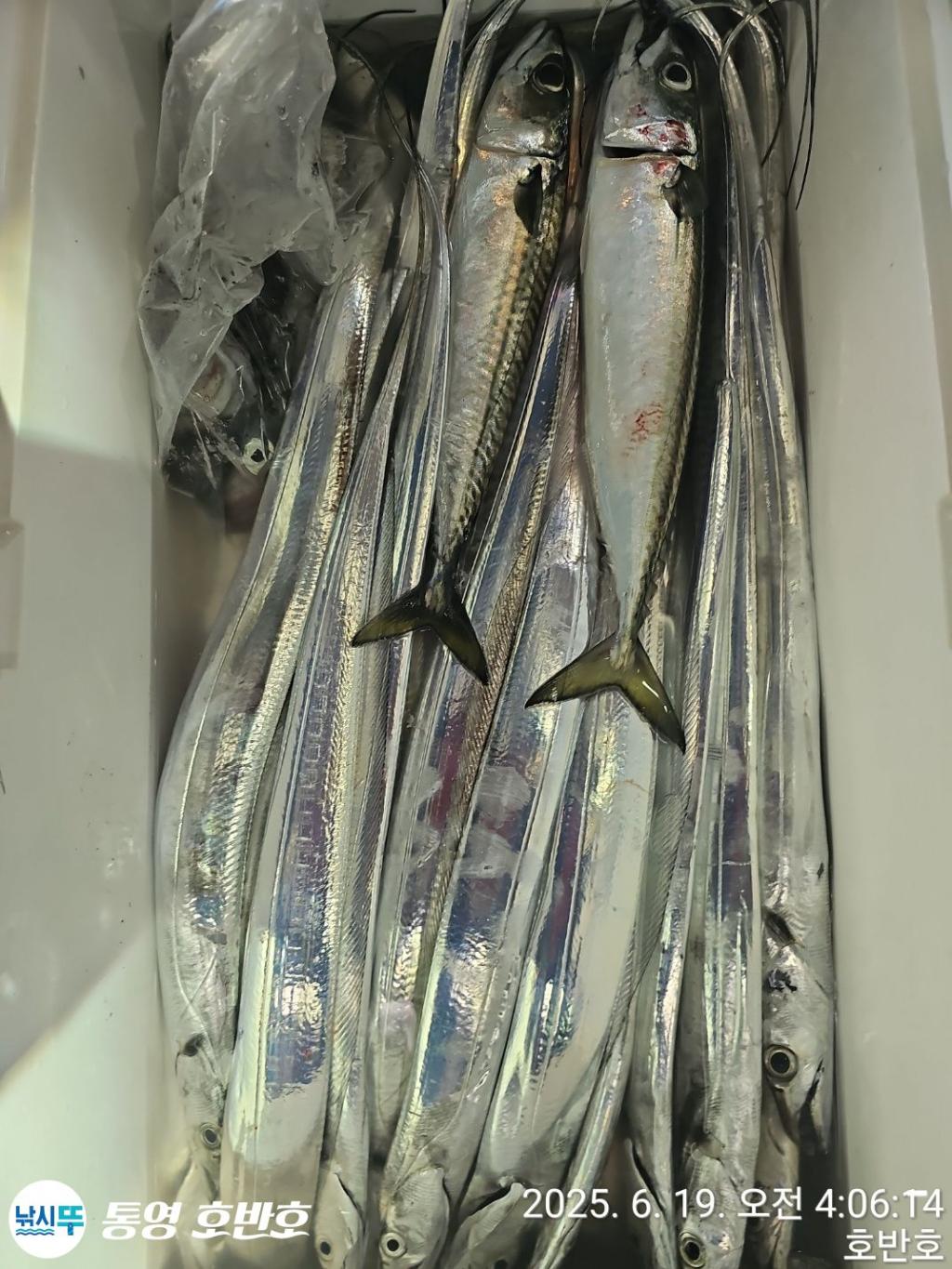 F2703371BI.jpg