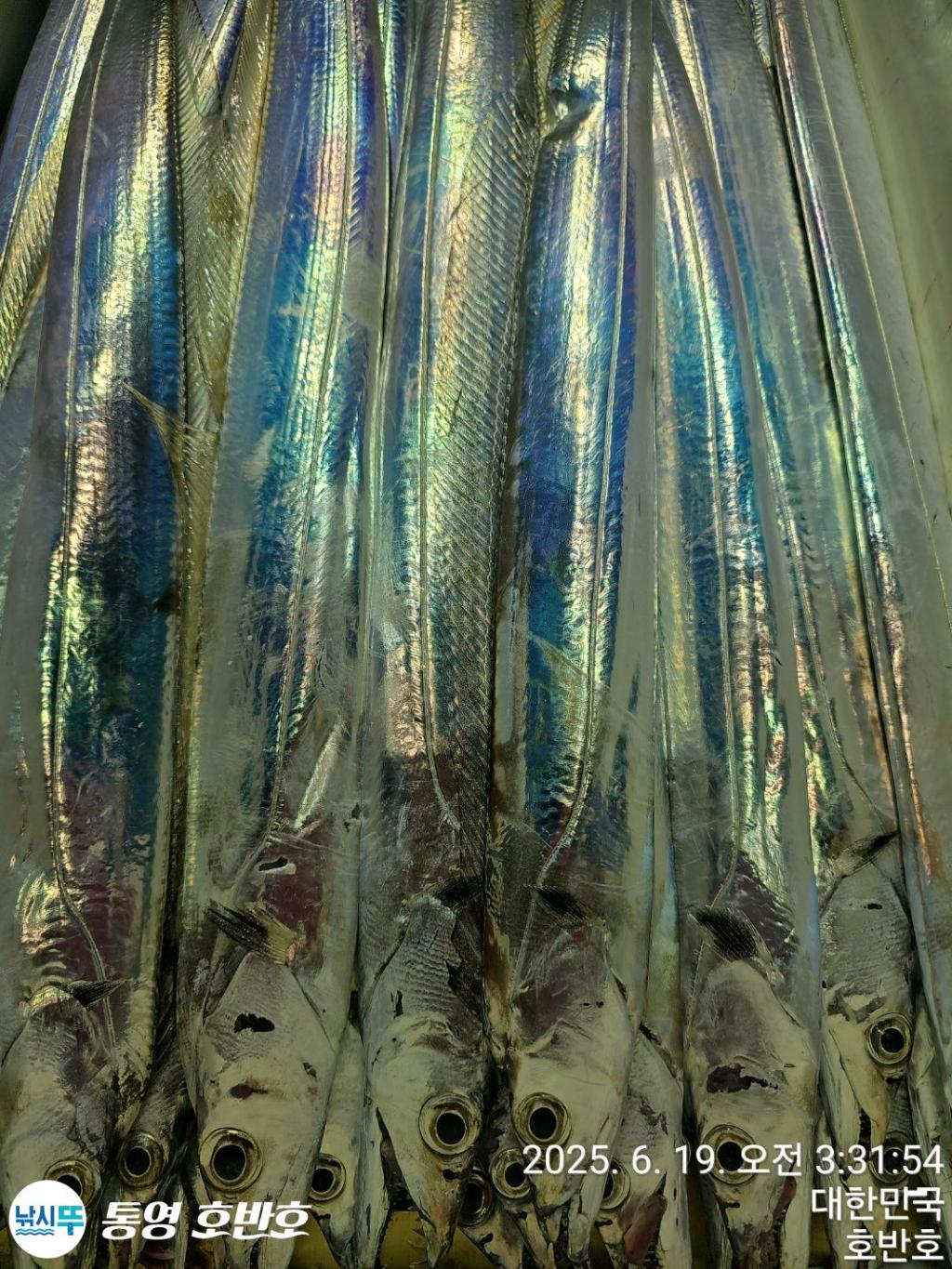 F2703385KK.jpg