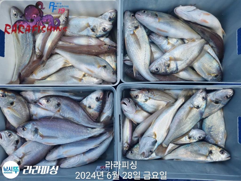 F27034752O.jpg