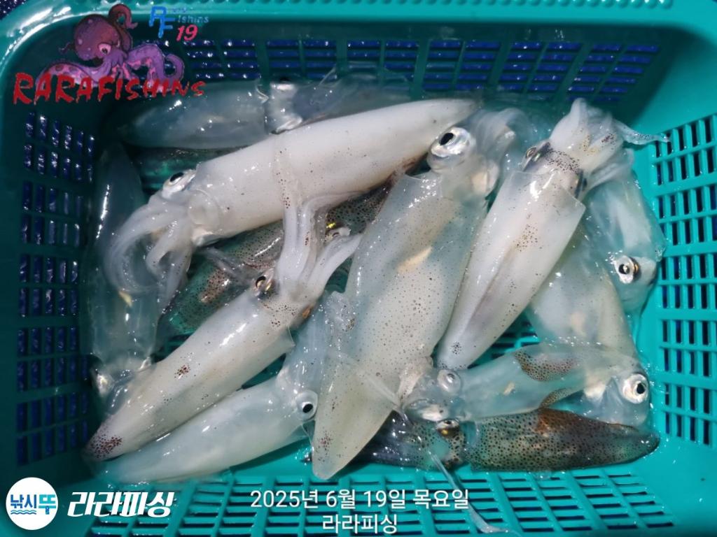 F2703497PF.jpg