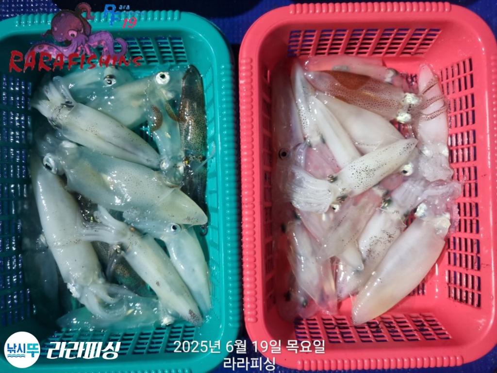 F2703500YQ.jpg