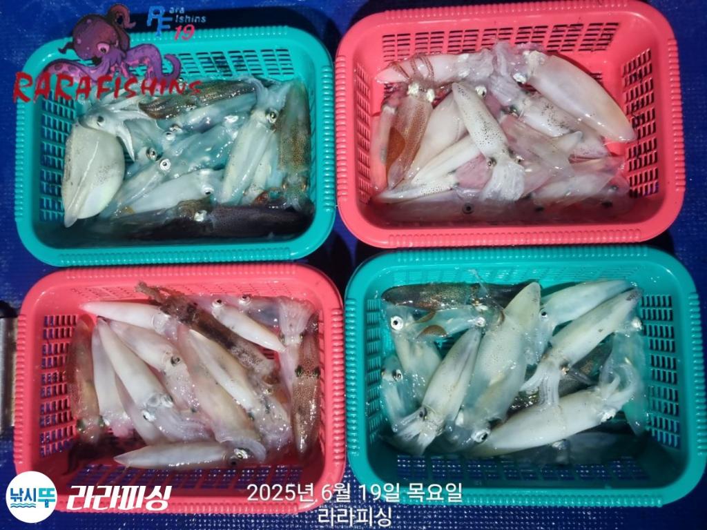 F2703501RQ.jpg