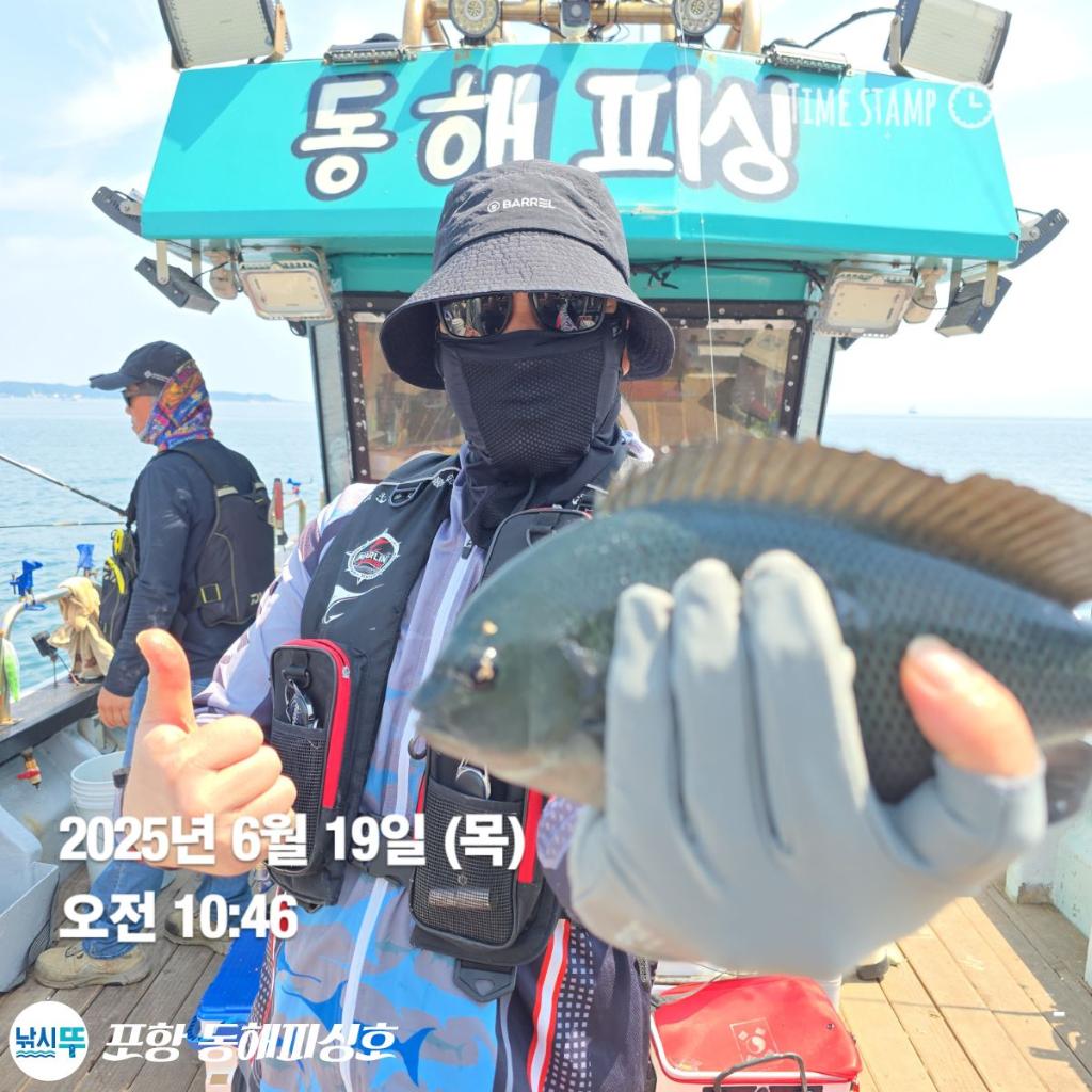 낚시뚜,감성돔,벵에돔,포항(운하관),포항 동해피싱호,낚시뚜2