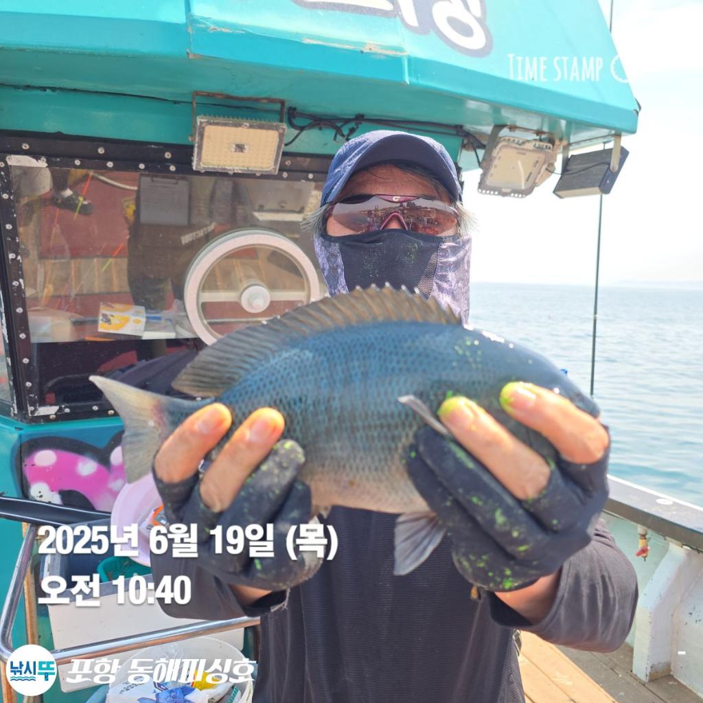 낚시뚜,감성돔,벵에돔,포항(운하관),포항 동해피싱호,낚시뚜1