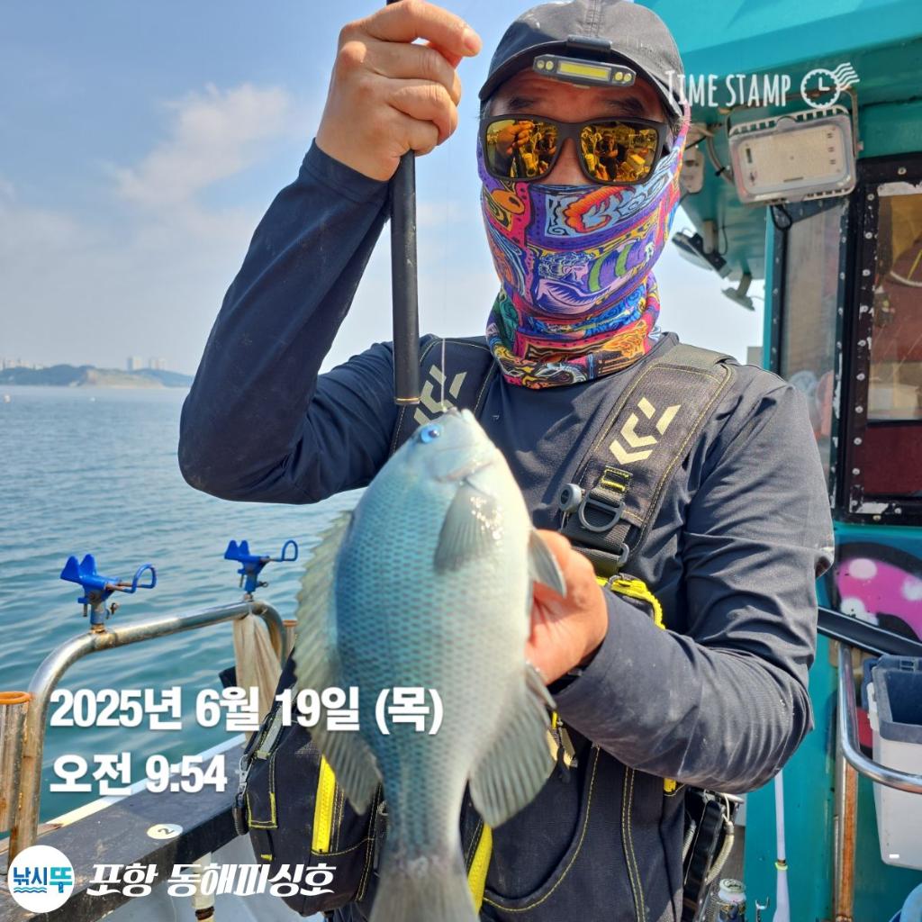 낚시뚜,감성돔,벵에돔,포항(운하관),포항 동해피싱호,낚시뚜0