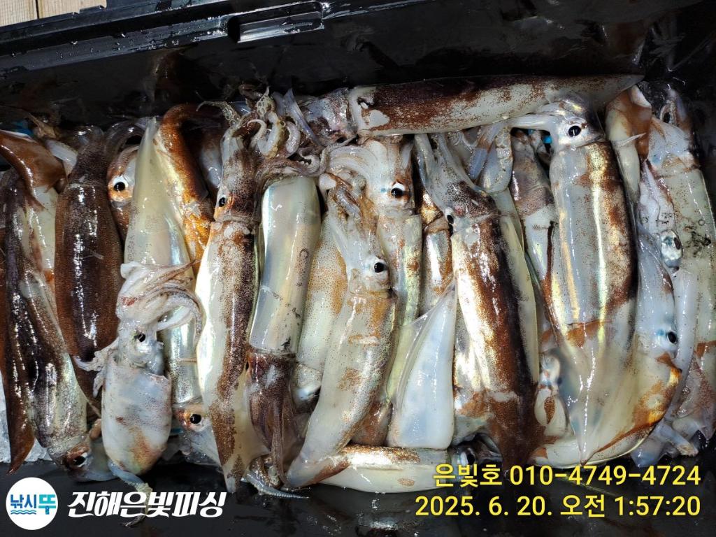 F2703669HY.jpg