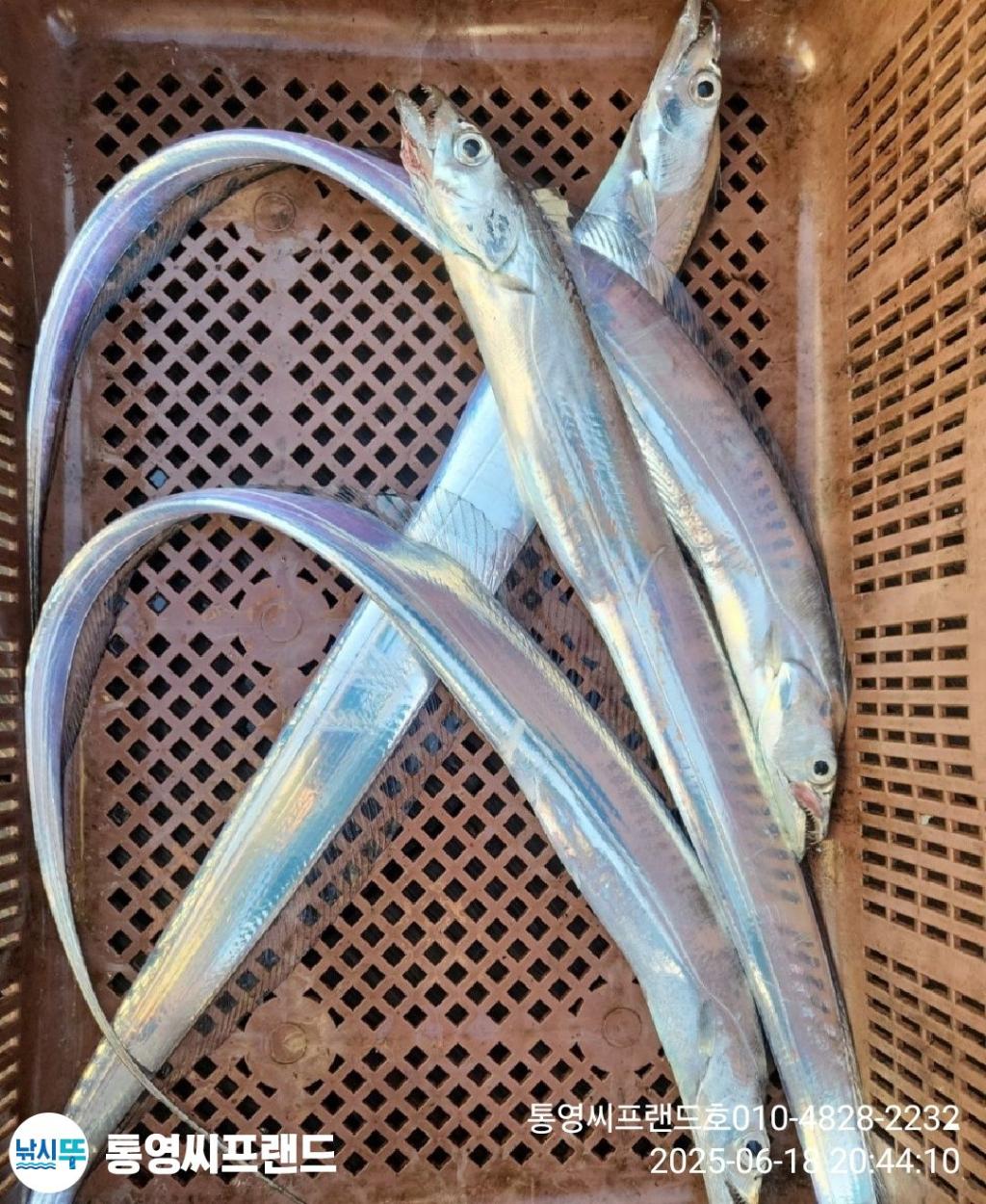 F27037884E.jpg