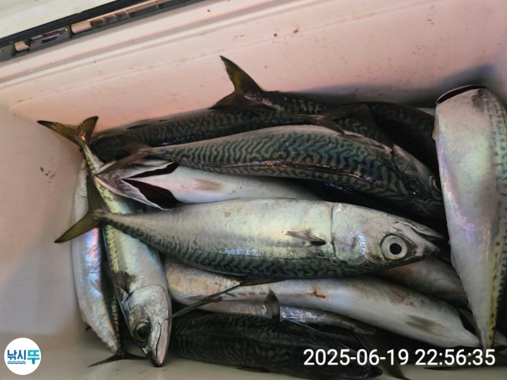F2703803H8.jpg