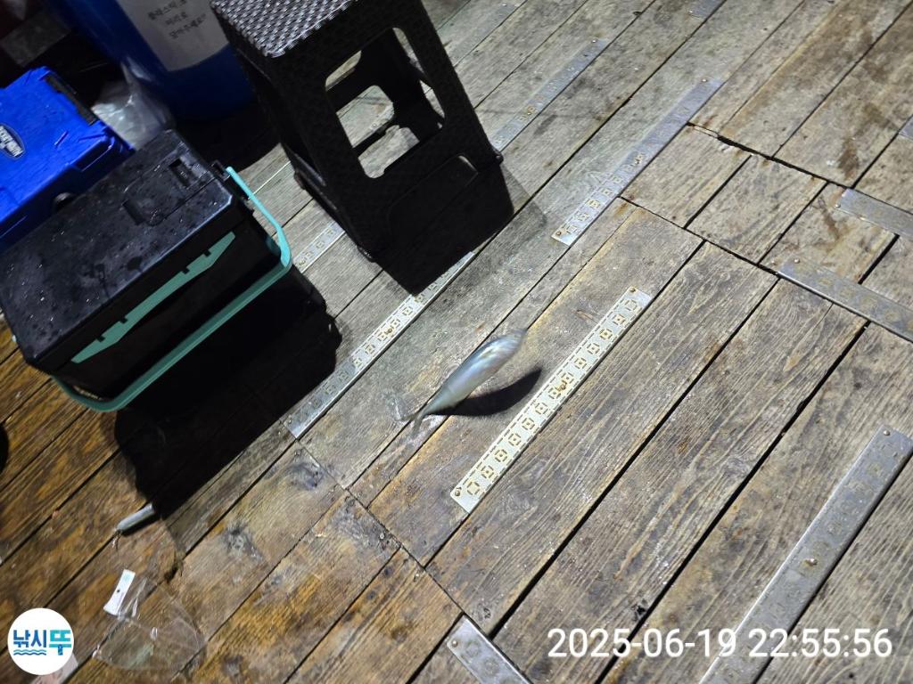 F27038105Z.jpg
