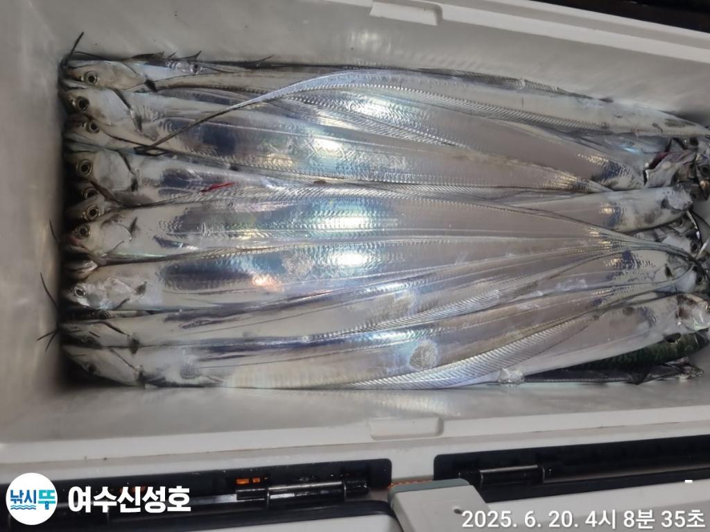 F2703872NK.jpg