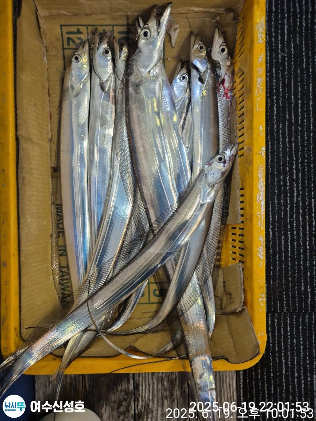 F2703874WI.jpg
