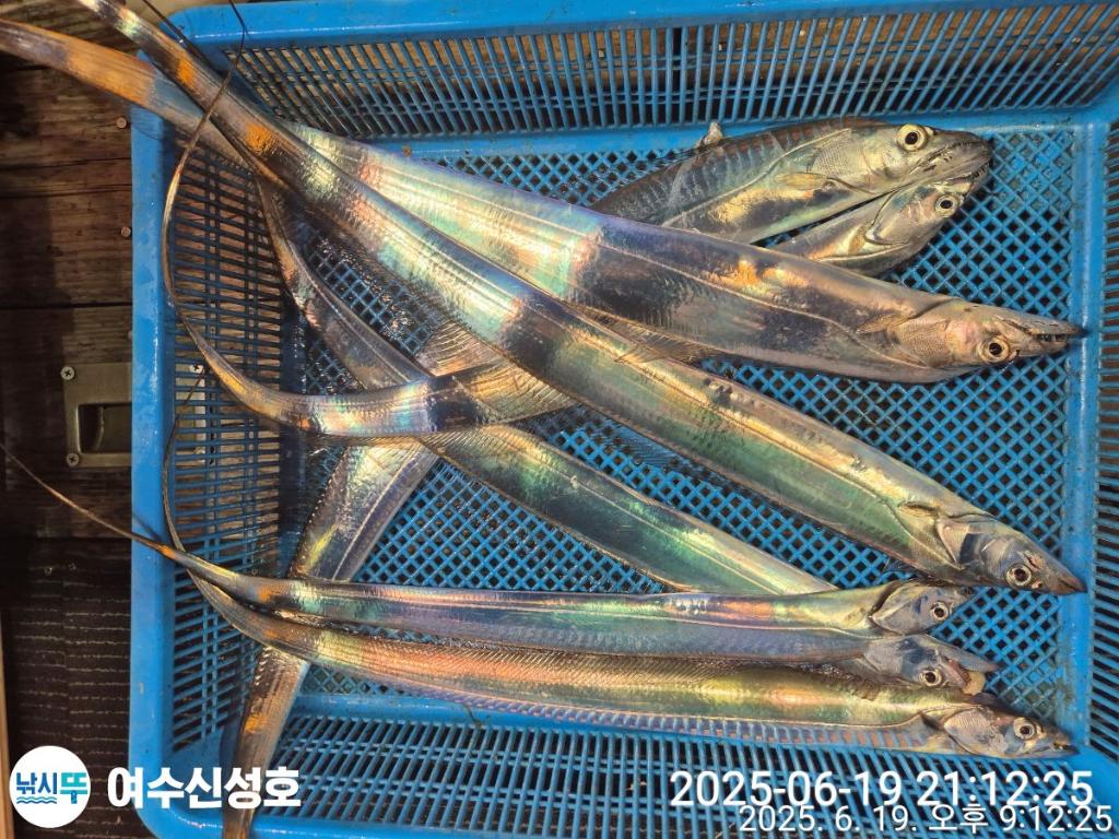 F27038785P.jpg