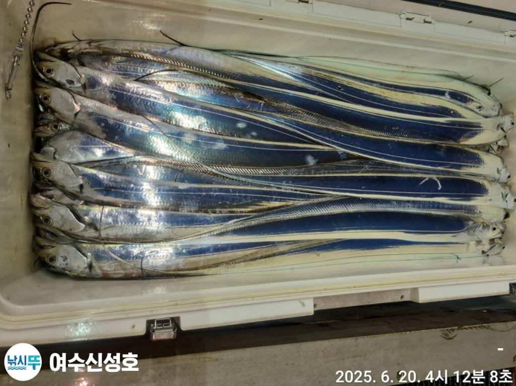 F2703887KA.jpg