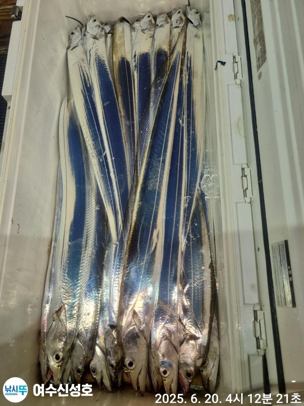 F27038884G.jpg