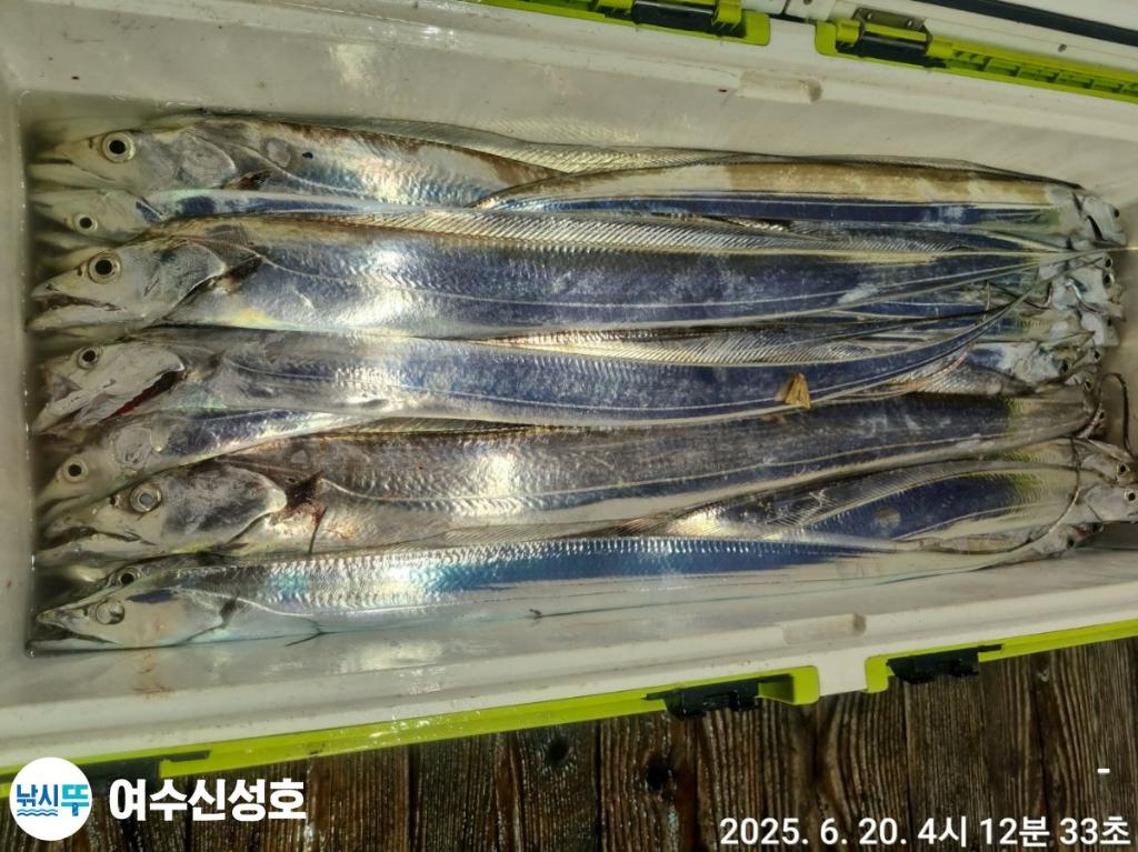 F27038897X.jpg