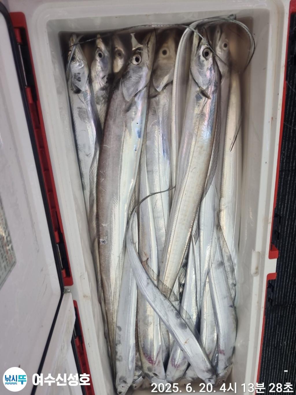 F2703890E7.jpg