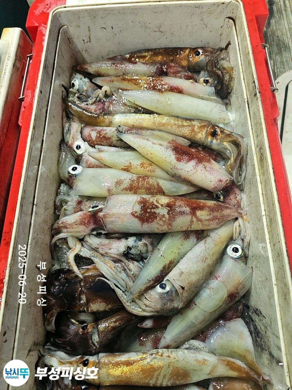 F2703898XA.jpg