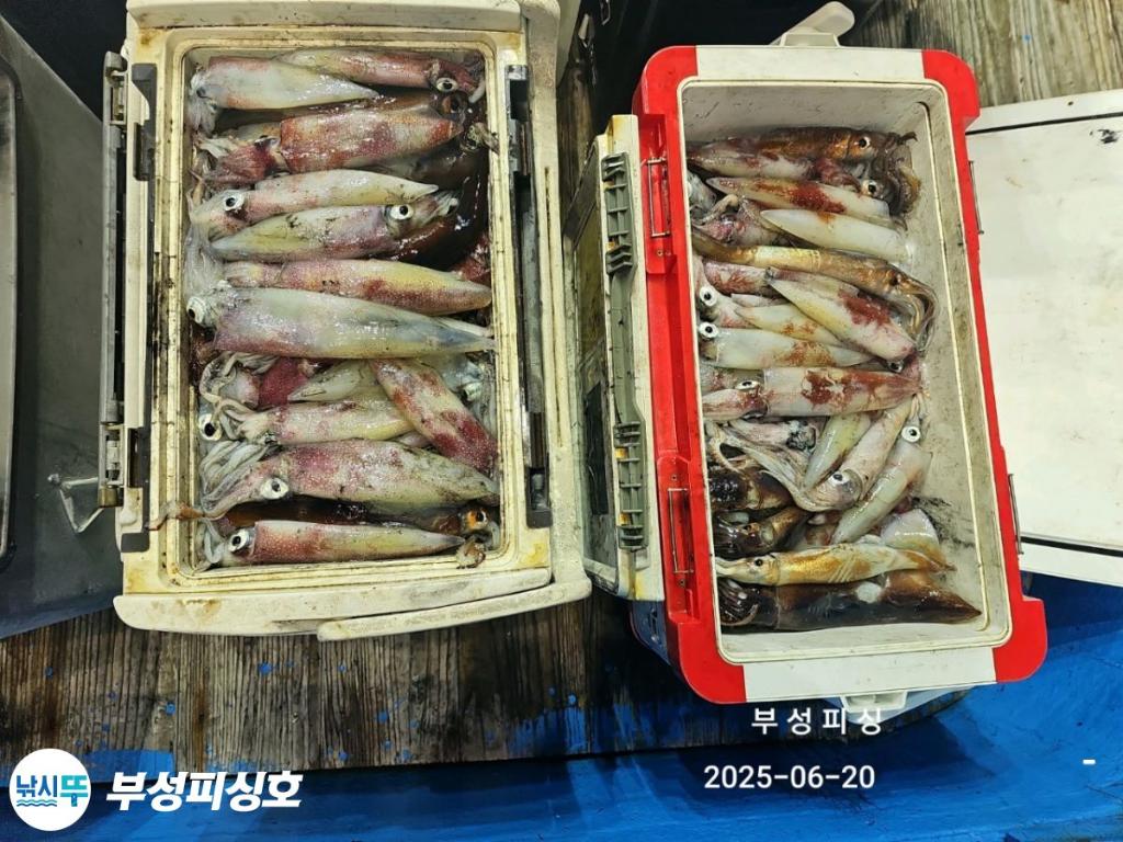F2703902SH.jpg