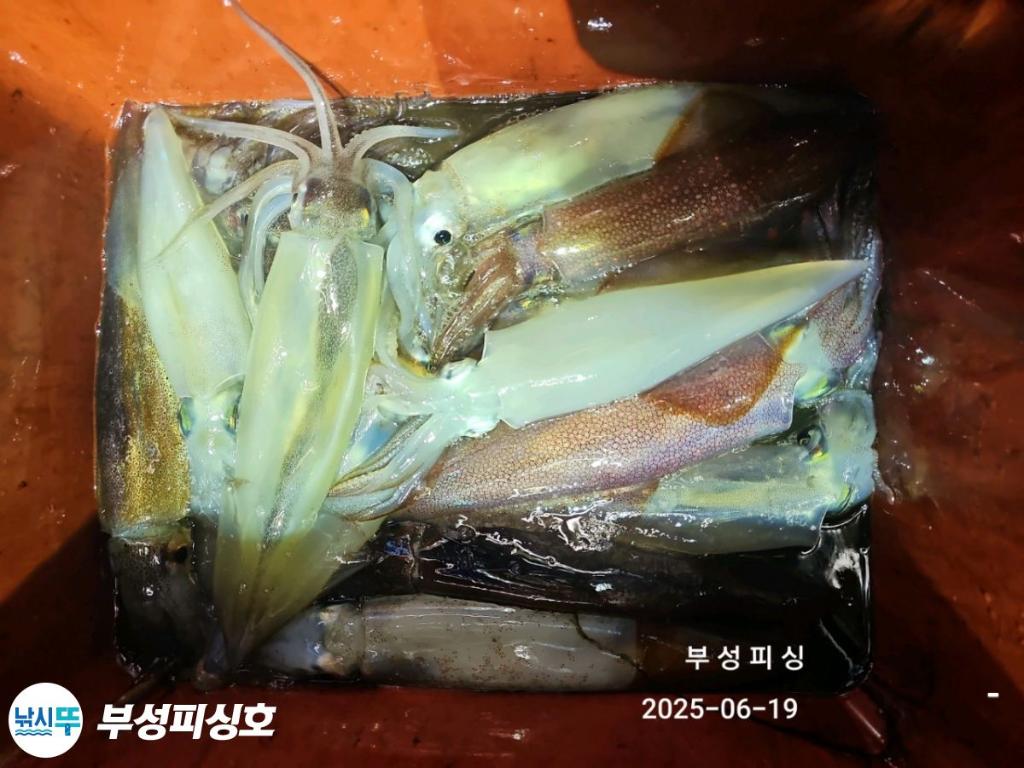 F27039094T.jpg