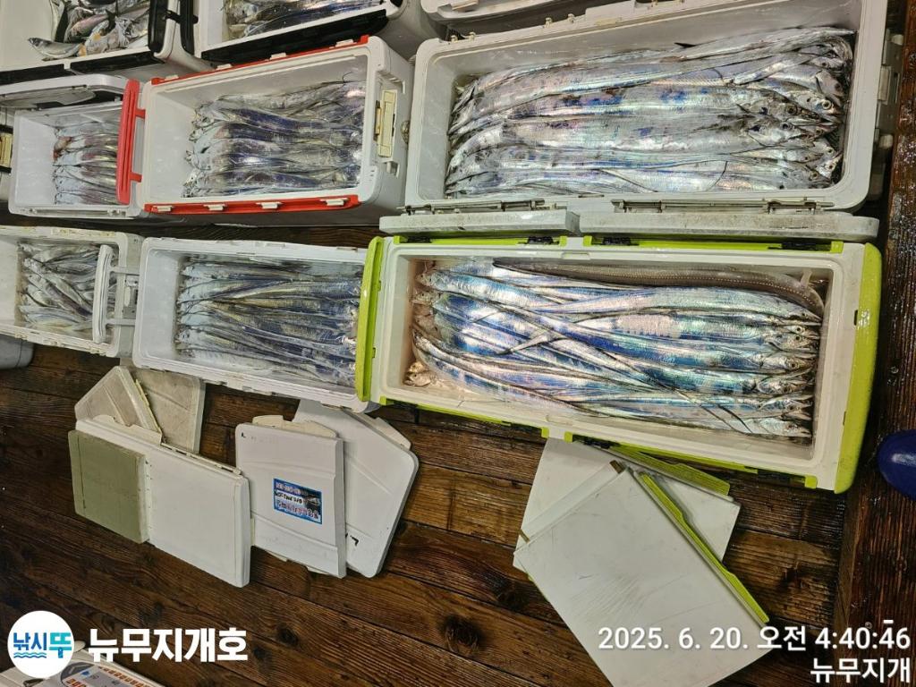 F2704082O2.jpg