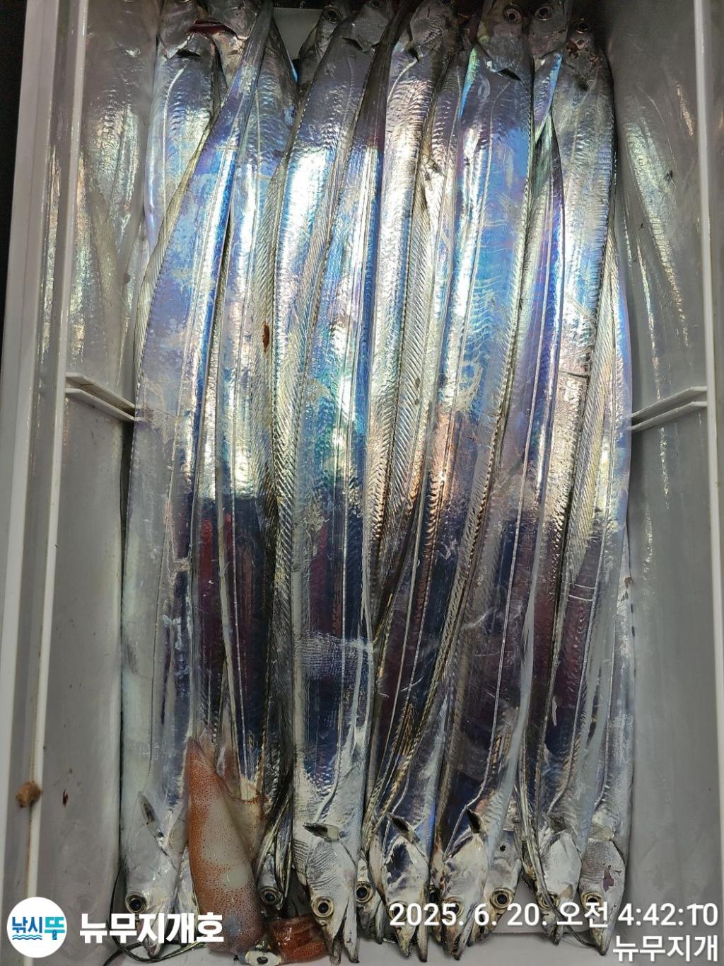 F2704084VT.jpg