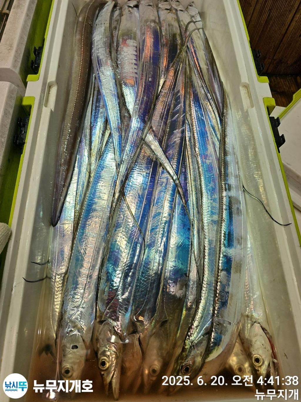 F27040859W.jpg