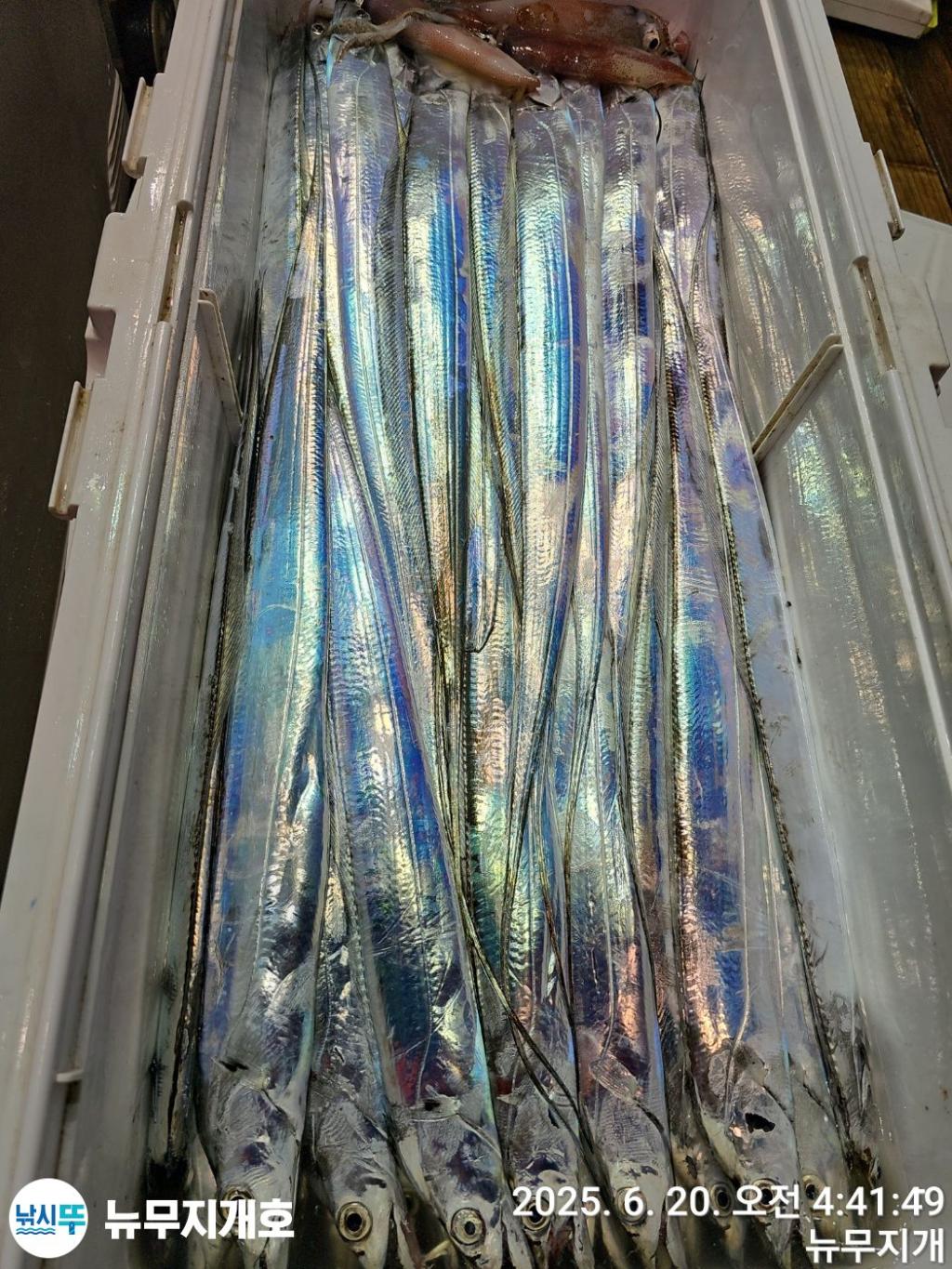 F2704087KK.jpg