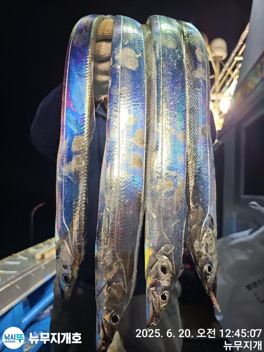 F2704092X9.jpg