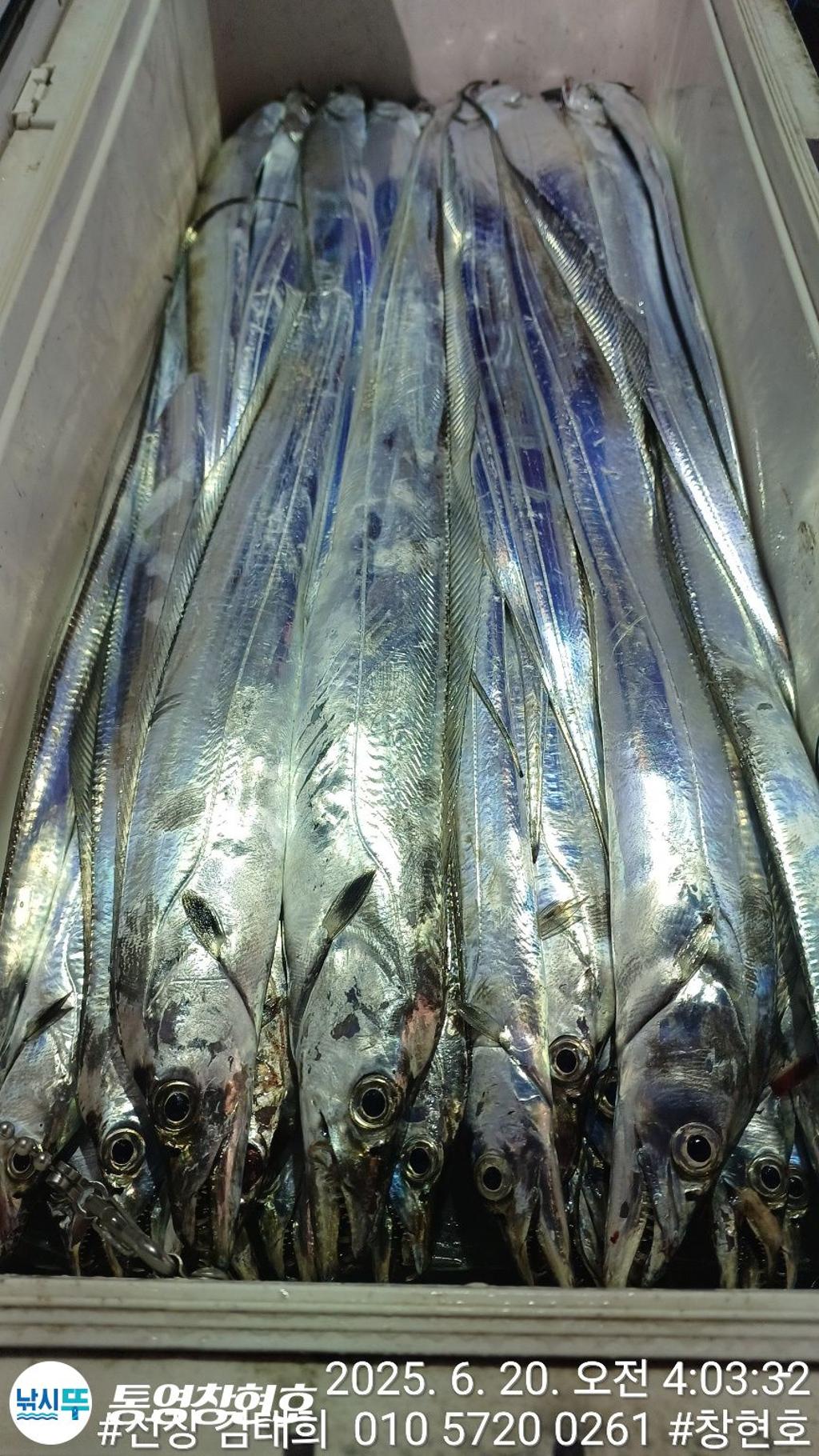 F27041128B.jpg