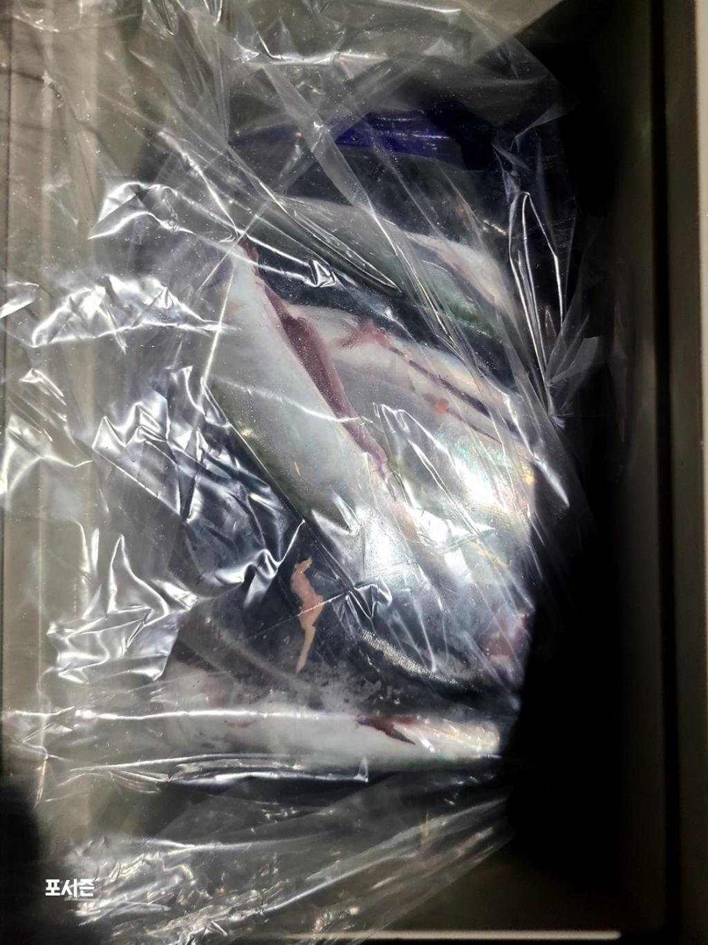 F2704136BZ.jpg