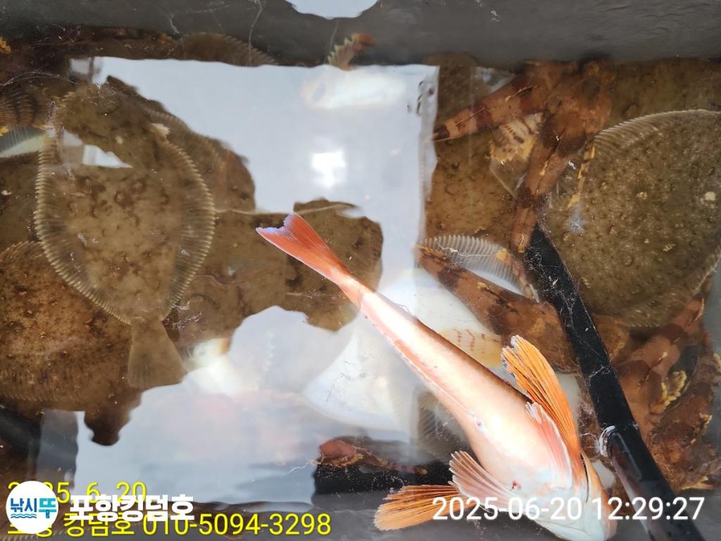 F27043228Q.jpg