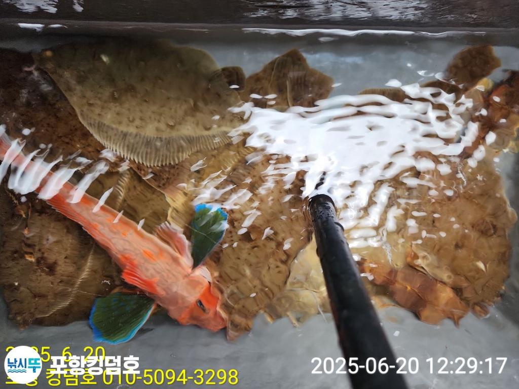 F2704323TD.jpg