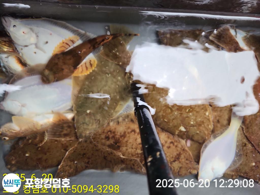 F2704324CY.jpg