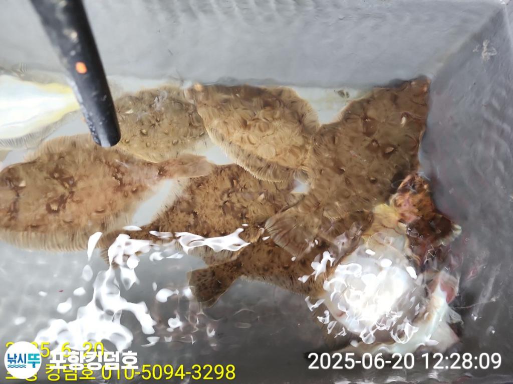 F2704329AQ.jpg