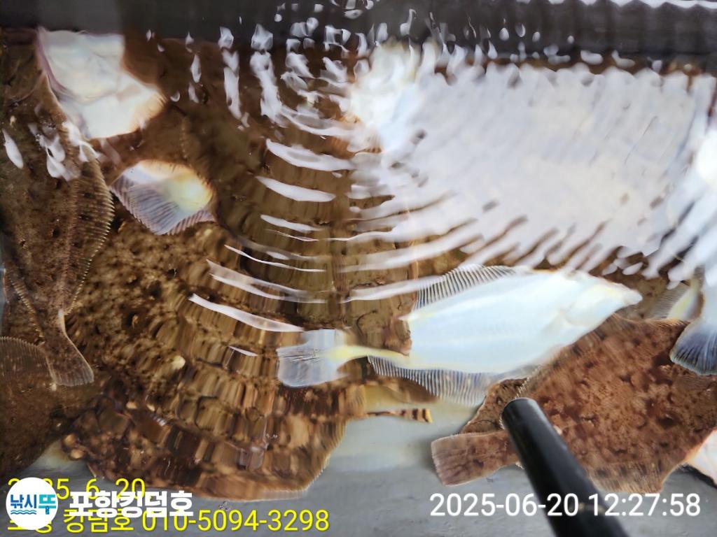 F2704330GH.jpg