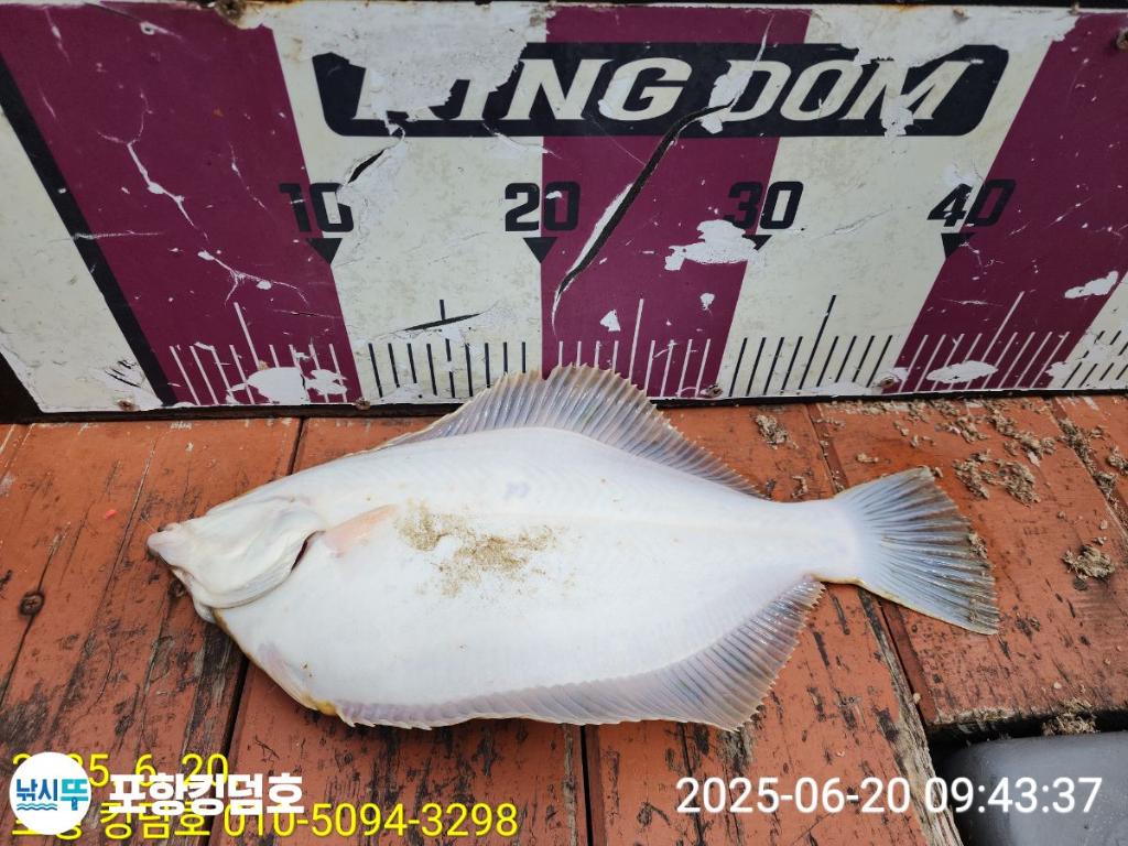 F2704341JS.jpg