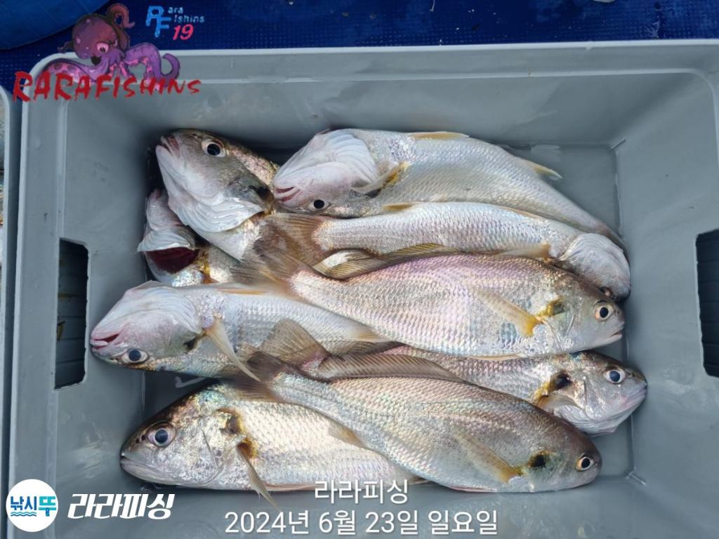 F2704487MV.jpg