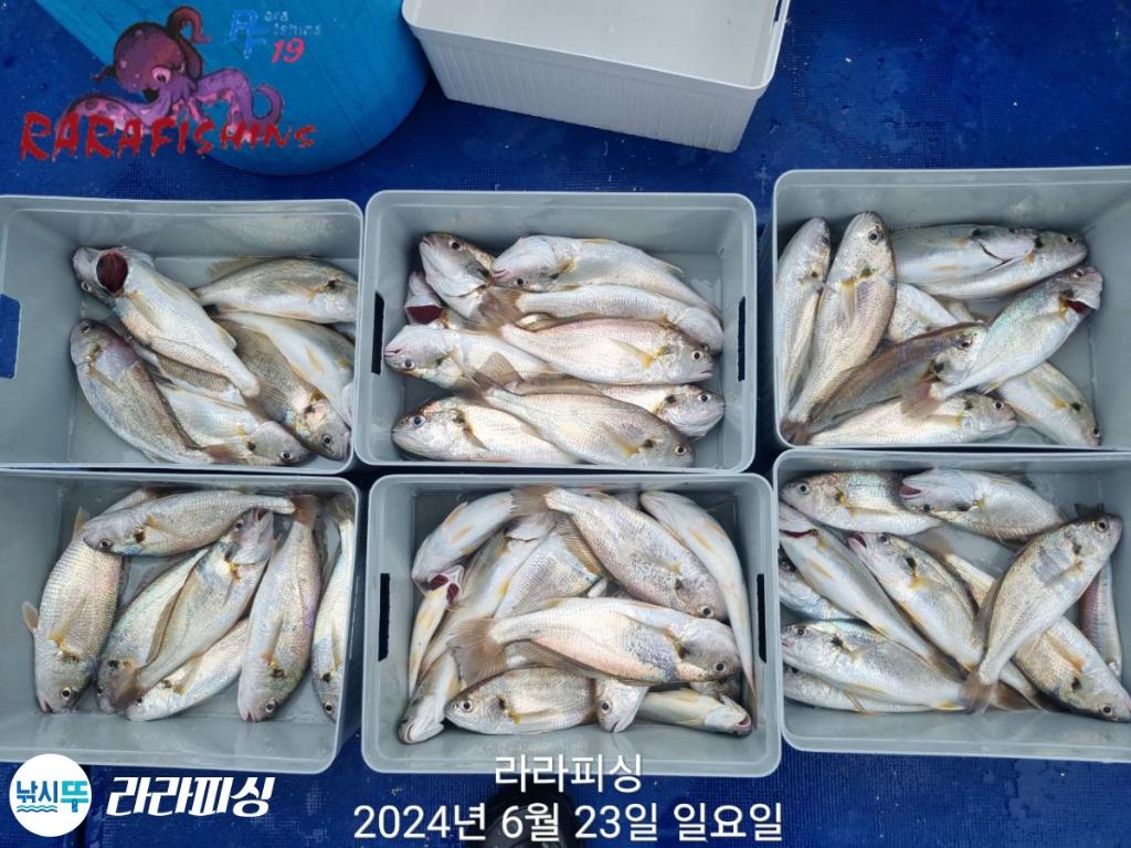 F2704502ZO.jpg
