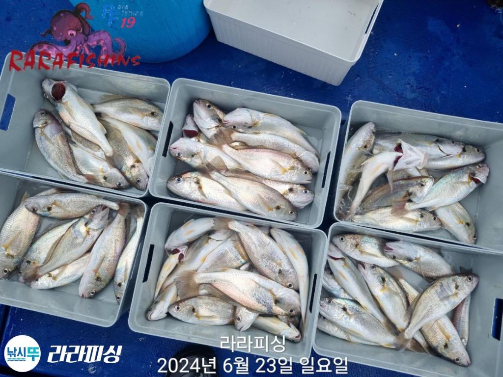 F2704503YK.jpg