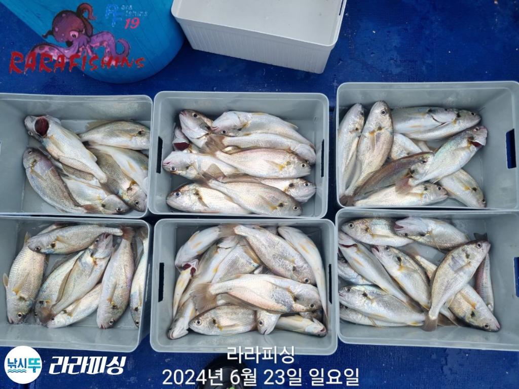 F27045054Q.jpg