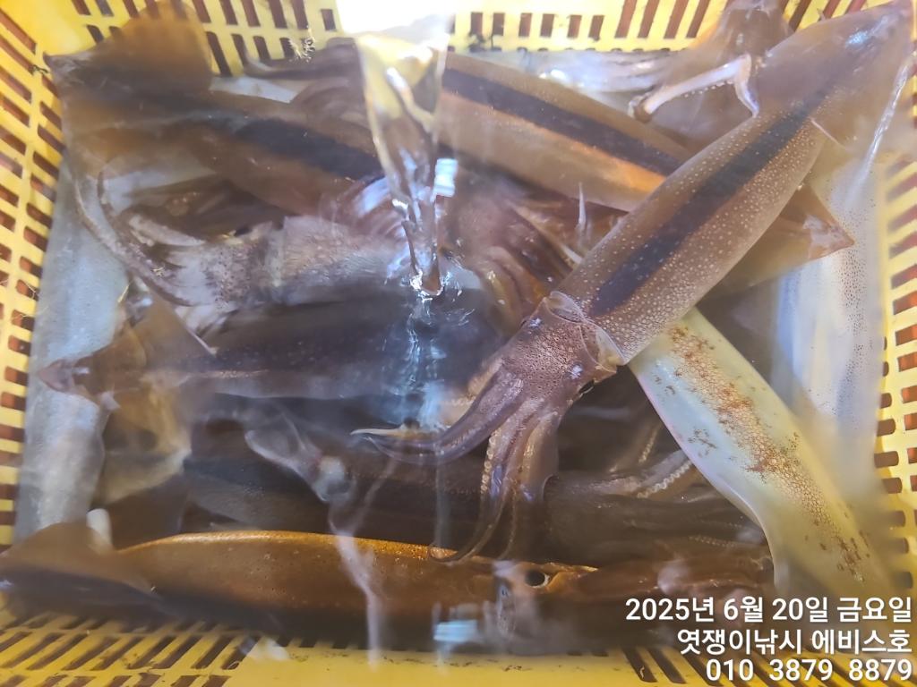 F2703994I2.jpg