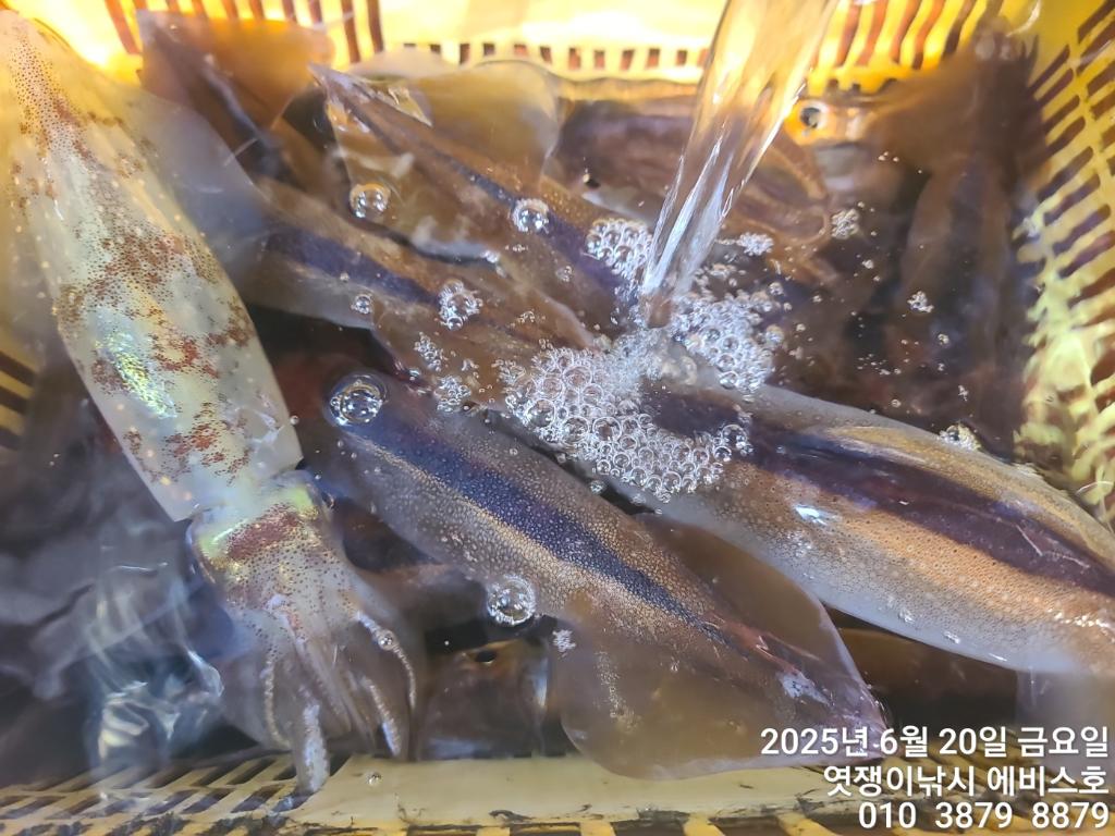 F270399534.jpg