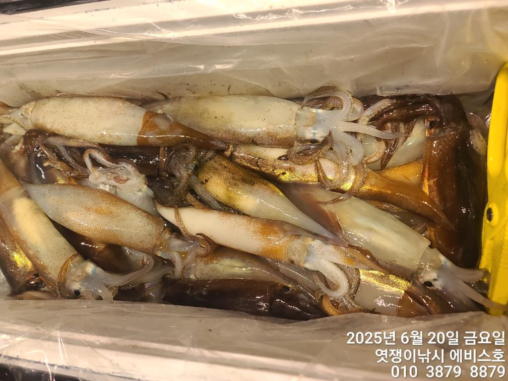F2704007FQ.jpg