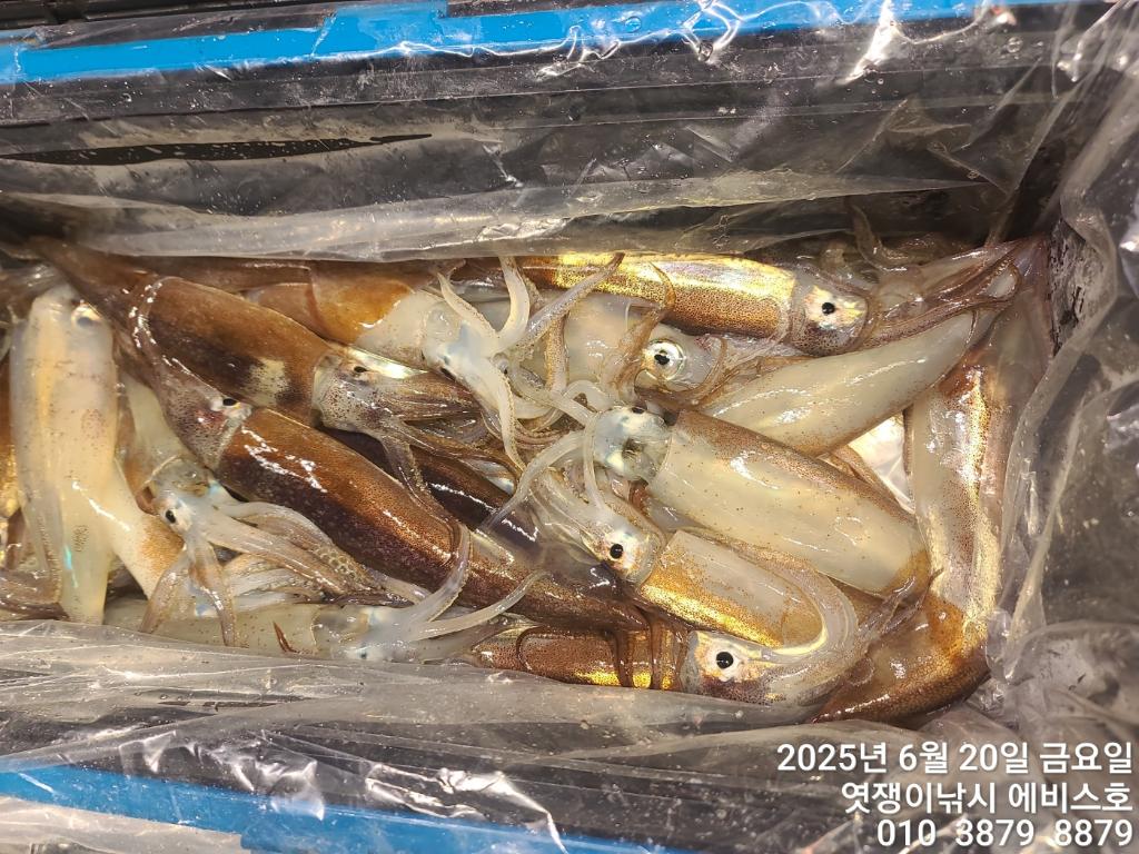 F2704008KW.jpg